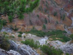 2013-10-26_Schildenstein (185).JPG